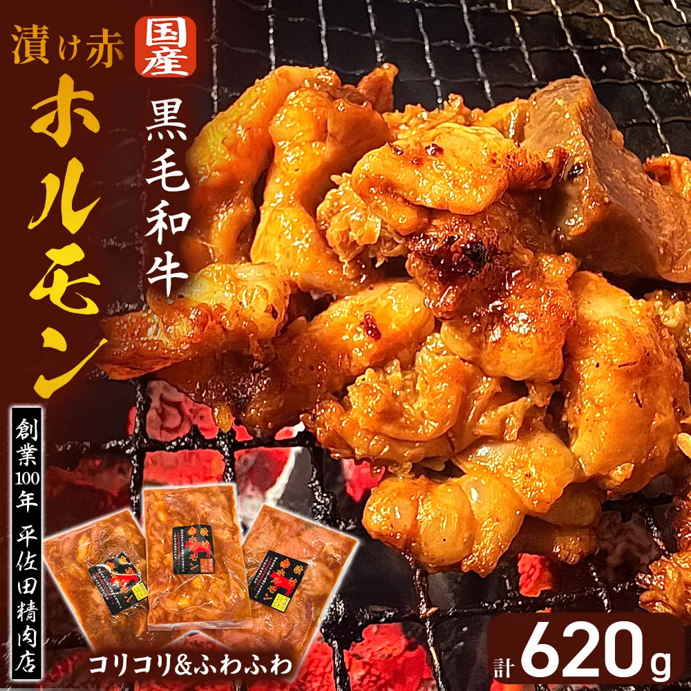 【特製味噌ダレ】漬け赤ホルモン コリコリ&ふわふわ 計620g