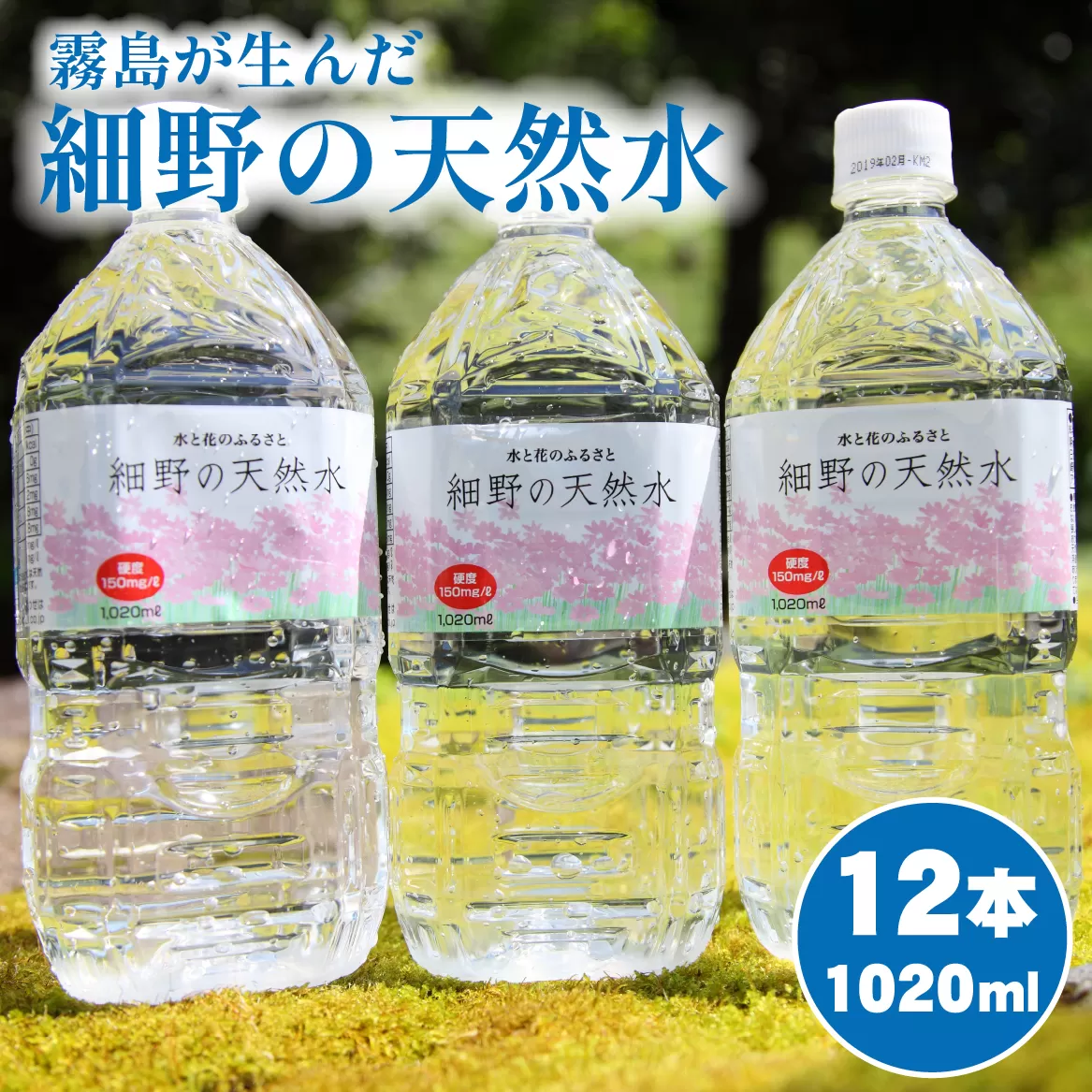 [ミネラルたっぷり天然水]細野の天然水 1020ml×12本 1箱(ミネラルウォーター 天然水 水 中硬水 シリカ シリカ水 ミネラル 美容 健康 人気 霧島 宮崎県 小林市)