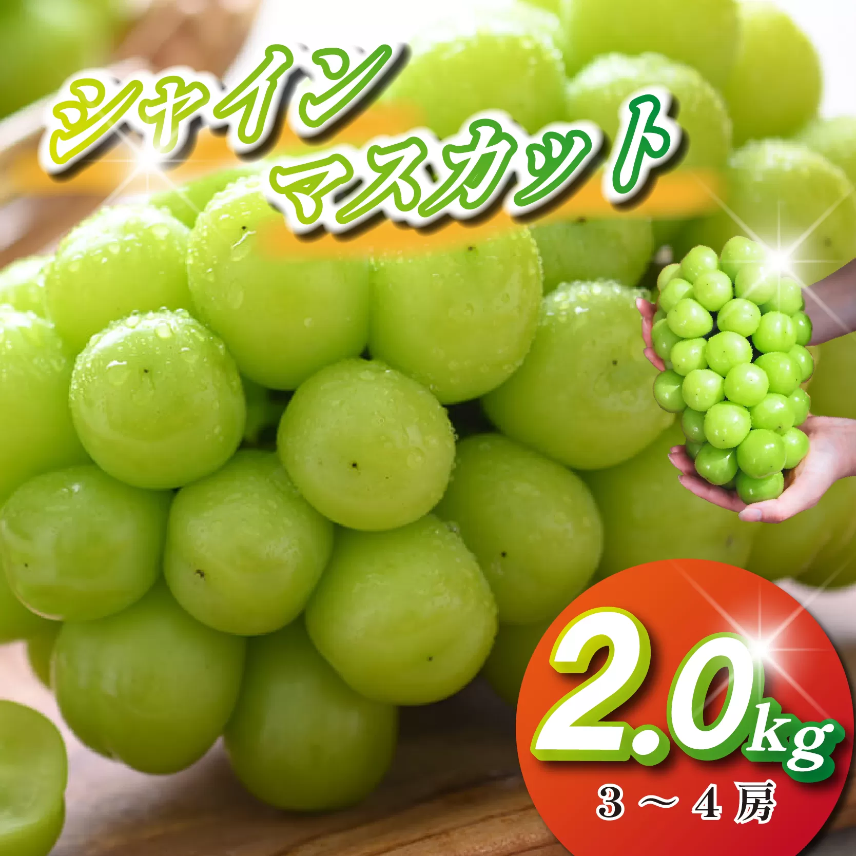 【観光農園直送！】シャインマスカット 2kg程度（3～4房 ぶどう ブドウ マスカット フルーツ 果物）
