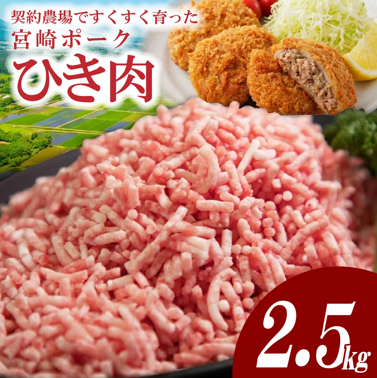 【産地直送・個包装】契約農場ですくすく育った宮崎ポークひき肉　2.5kg