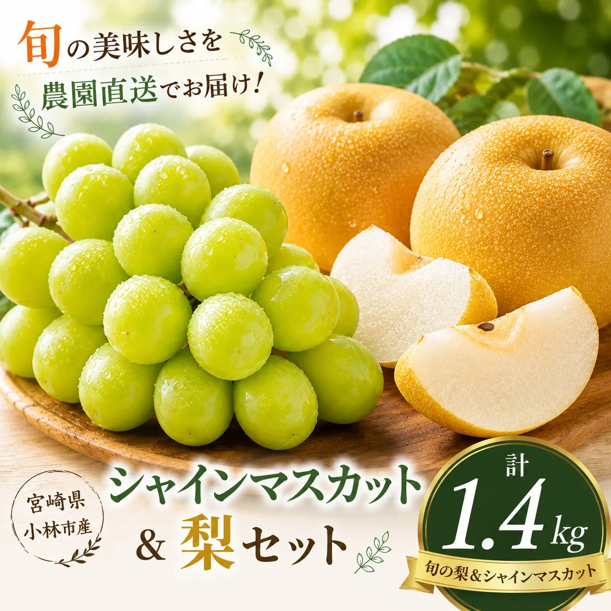 【期間限定】旬の梨とシャインマスカット 食べ比べセット 約1.4kg（シャインマスカット 梨 フルーツ 果物 詰合せ 豊水 新興 新高）