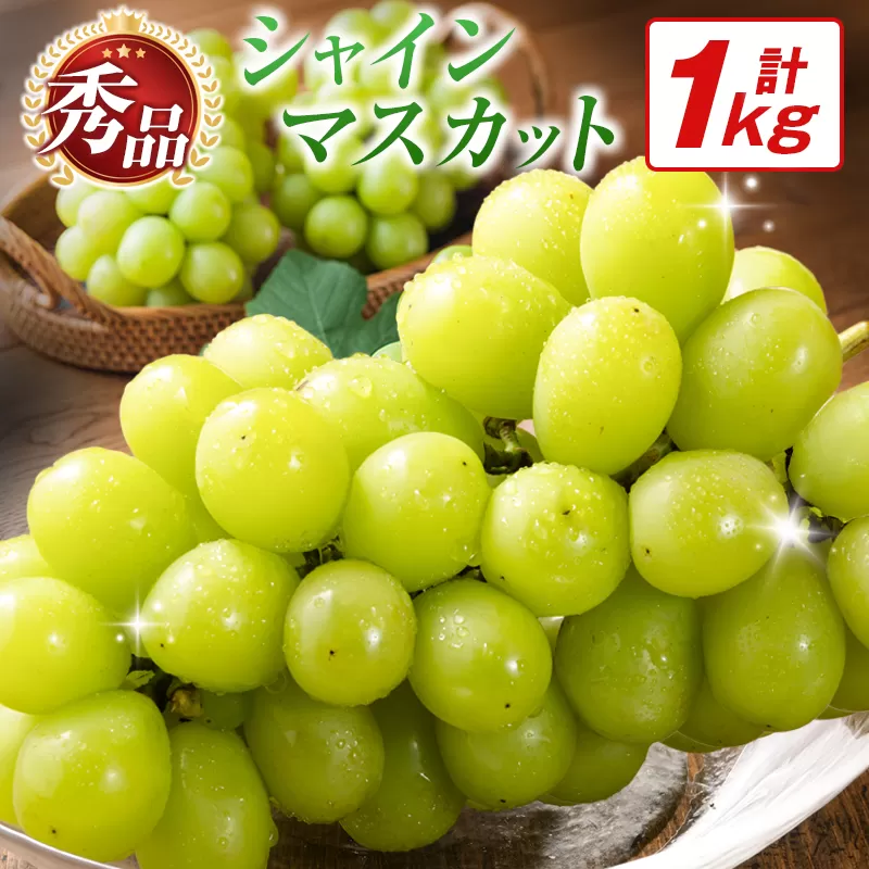 【令和8年発送 先行予約】小林市産 シャインマスカット 1kg(ブドウ ぶどう シャインマスカット マスカット フルーツ 果物 先行受付 限定)