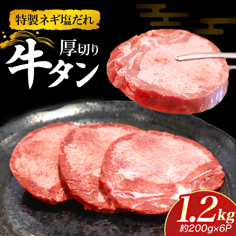 特製ネギ塩だれの厚切り牛タン 1.2kg（肉 牛肉 牛タン 厚切り タン 塩だれ ネギ ヘルシー 人気 宮崎県）