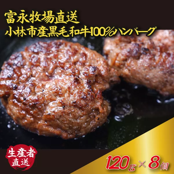 【自社農場和牛】富永和牛手作りハンバーグ（黒毛和牛 ハンバーグ 牛肉 牛肉100% 国産 冷凍 調理済 宮崎 惣菜 小林市）