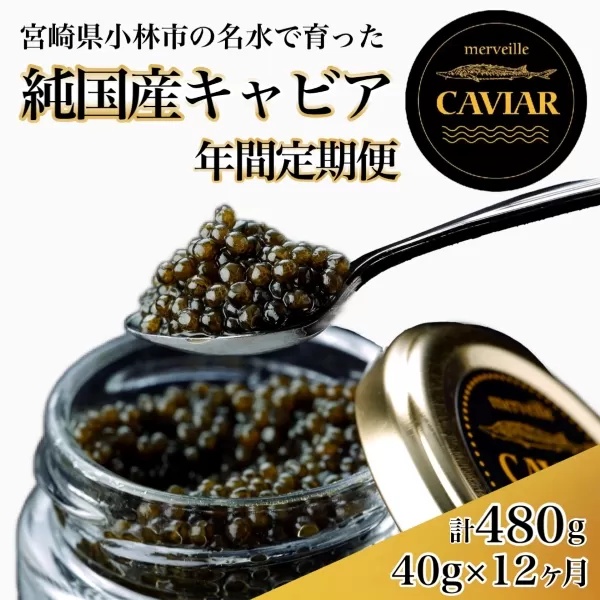 【定期便：年12回】【純国産宮崎キャビア】メルベイユキャビア480g<40g×12回>