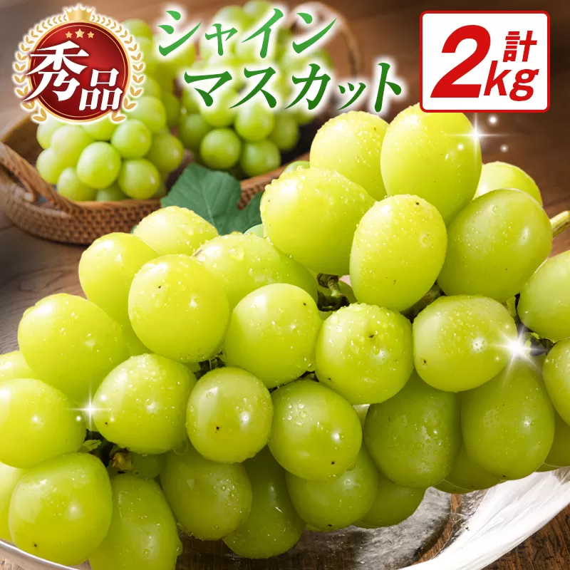 【令和8年発送 先行予約】小林市産 シャインマスカット 2kg(ブドウ ぶどう シャインマスカット マスカット フルーツ 果物 先行受付 限定)