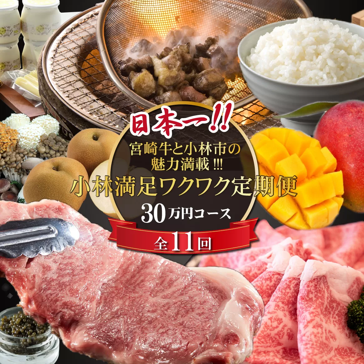 【定期便・全11回】日本一宮崎牛と小林市の魅力満載!!! 小林満足ワクワク定期便 30万円コース（国産 牛肉 国産牛 黒毛和牛 マンゴー お菓子 豚肉 鶏肉 キャビア 定期便）