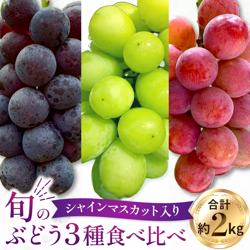 旬のぶどう３種食べ比べ アソート 計2kg程度 （ シャインマスカット オーロラブラック クイーンニーナ ） ぶどう ブドウ シャインマスカット シャイン マスカット フルーツ 果物 くだもの ぶどう食べ比べ 宮崎県小林市