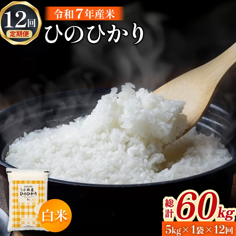 【定期便 全12回】令和7年産米 ヒノヒカリ 5kg×12回 計60kg（お米 米 新米 ヒノヒカリ 国産 人気 お弁当 宮崎県 小林市）