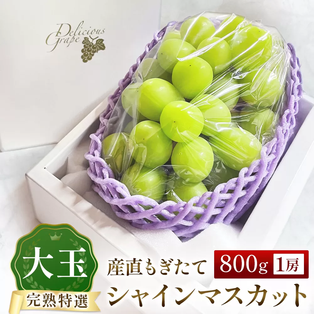 【令和8年発送・先行予約】大玉 特選 シャインマスカット 800g（ぶどう ブドウ シャインマスカット シャイン マスカット フルーツ 果物 くだもの 旬 先行受付 2026 産地直送 限定）