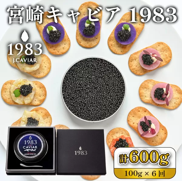【定期便・全6回】＜国際線ファーストクラス採用＞宮崎キャビア1983 100g×6回（国産 キャビア 魚卵 宮崎県 宮崎 小林市 定期便）