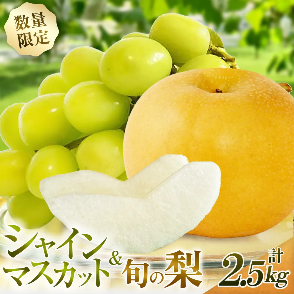 【期間限定】旬の梨とシャインマスカット 食べ比べセット 約2.5kg(ぶどう フルーツ 果物 詰合せ フルーツセット 果物セット 豊水 新高 新興)