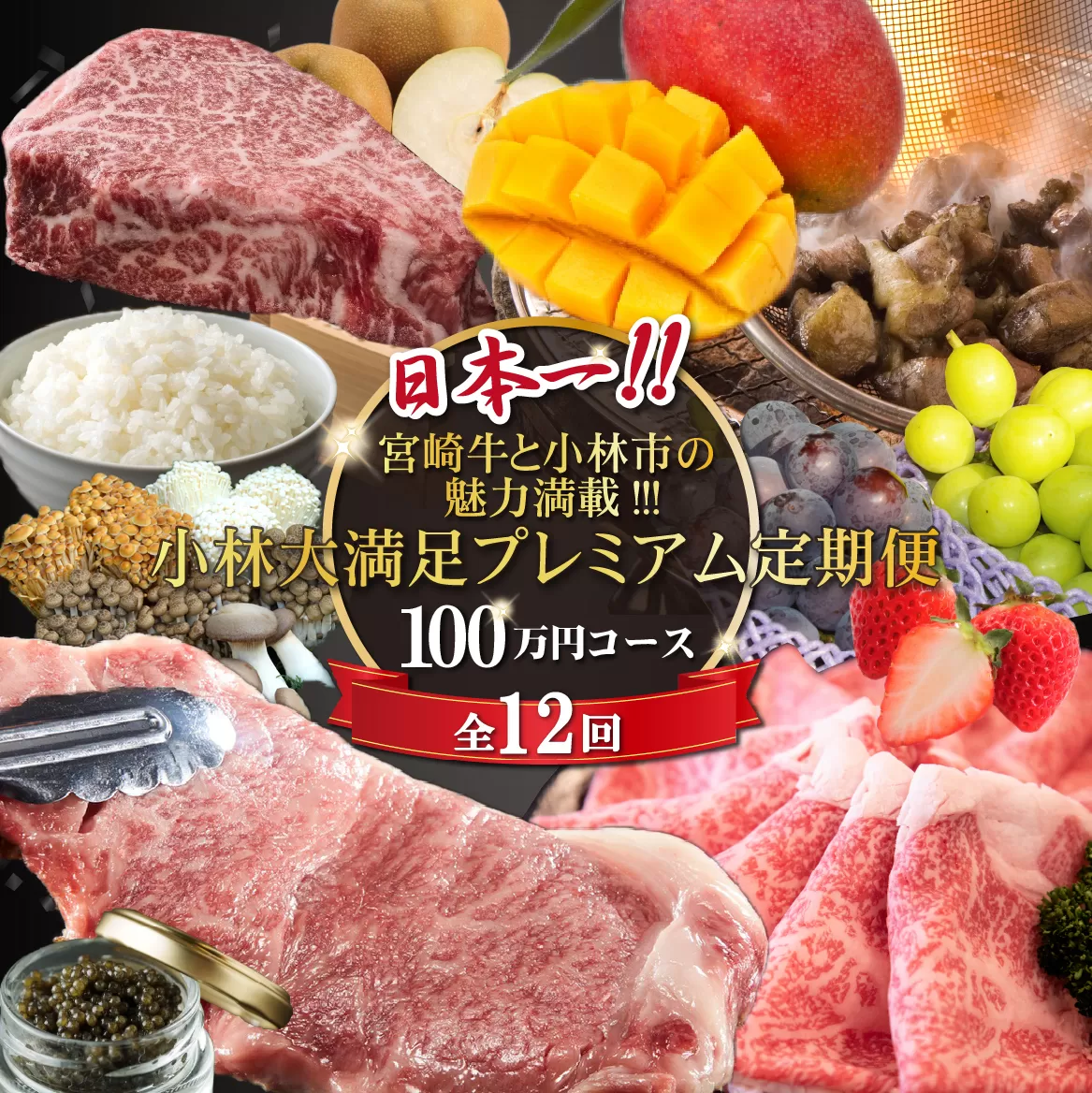 【定期便・全12回】日本一宮崎牛と小林市の魅力満載!!!!!小林大満足プレミアム定期便 100万円コース（国産 牛肉 国産牛 和牛 黒毛和牛 シャインマスカット マンゴー 完熟マンゴー フルーツ 果実 くだもの キャビア 豚肉 鶏肉 定期便）