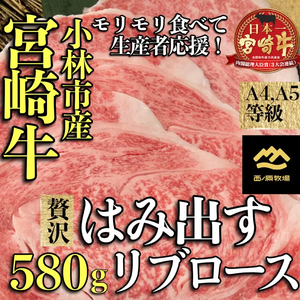 【西ノ原牧場直送】Ａ4等級以上小林市産宮崎牛はみ出す贅沢リブロース 580g（牛肉 黒毛和牛 ブランド牛 すき焼き 焼肉 内閣総理大臣賞）
