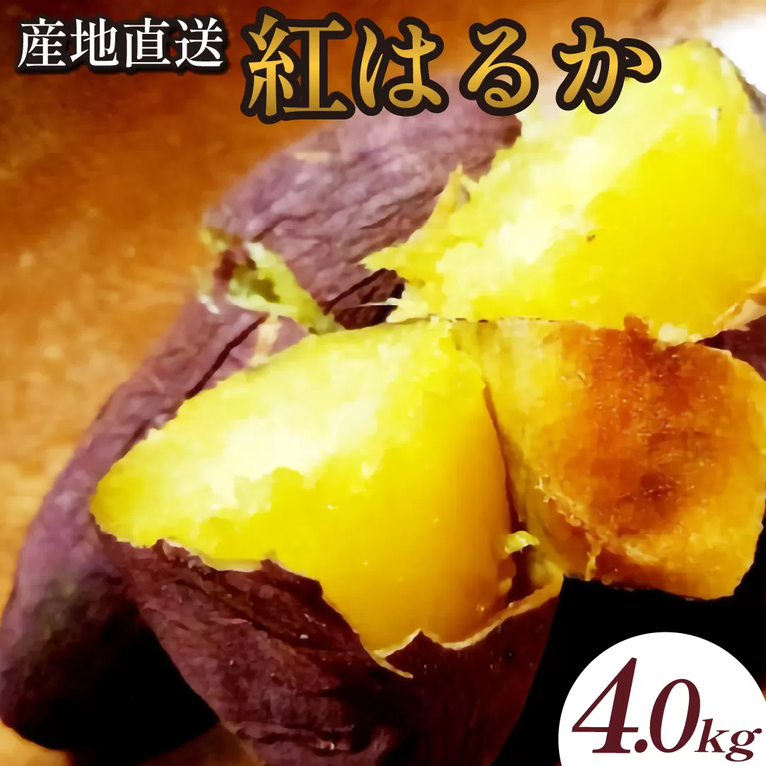 【産地直送】小林市産さつまいも「紅はるか」4kg