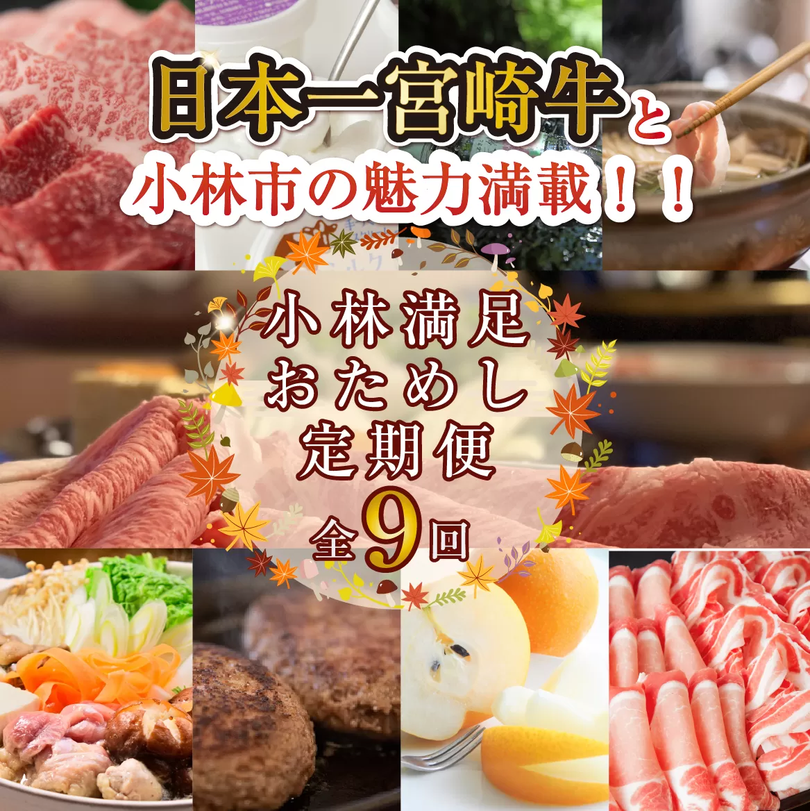 【定期便・全9回】日本一宮崎牛と小林市の魅力満載!!! 小林満足おためし定期便 10万円コース(国産 牛肉 国産牛 和牛 黒毛和牛 すき焼き フルーツ お菓子 豚肉 鶏肉 スイーツ 定期便)