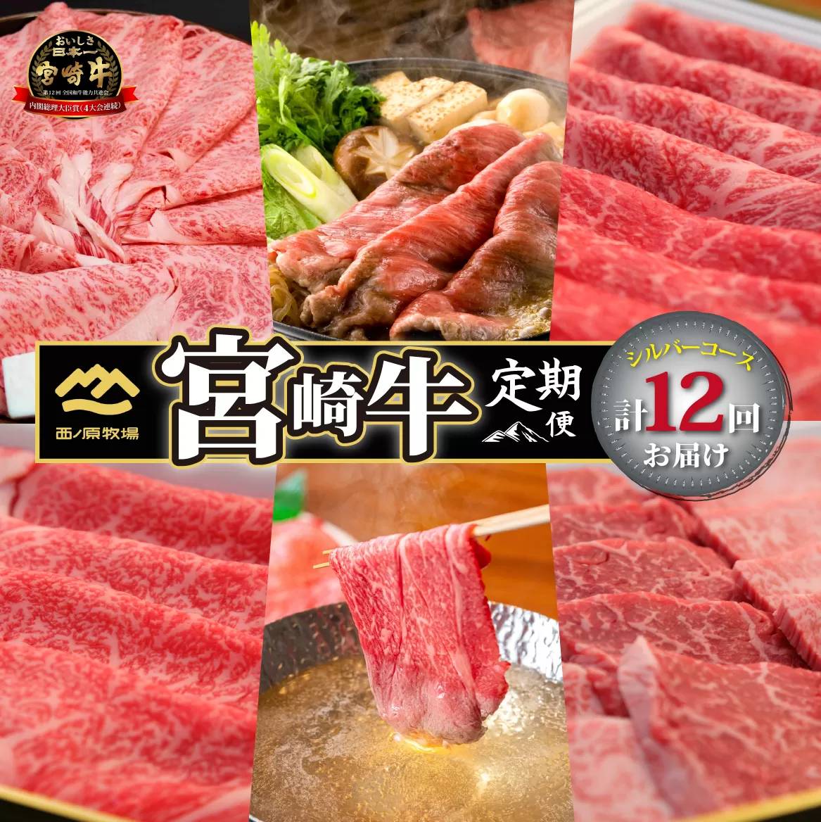 【定期便・全12回】西ノ原牧場直送 宮崎牛シルバーコース（肉定期便 黒毛和牛 和牛 赤身 霜降り ブランド牛 ステーキ 焼肉 すき焼き スライス 定期便 宮崎県 小林市 ）