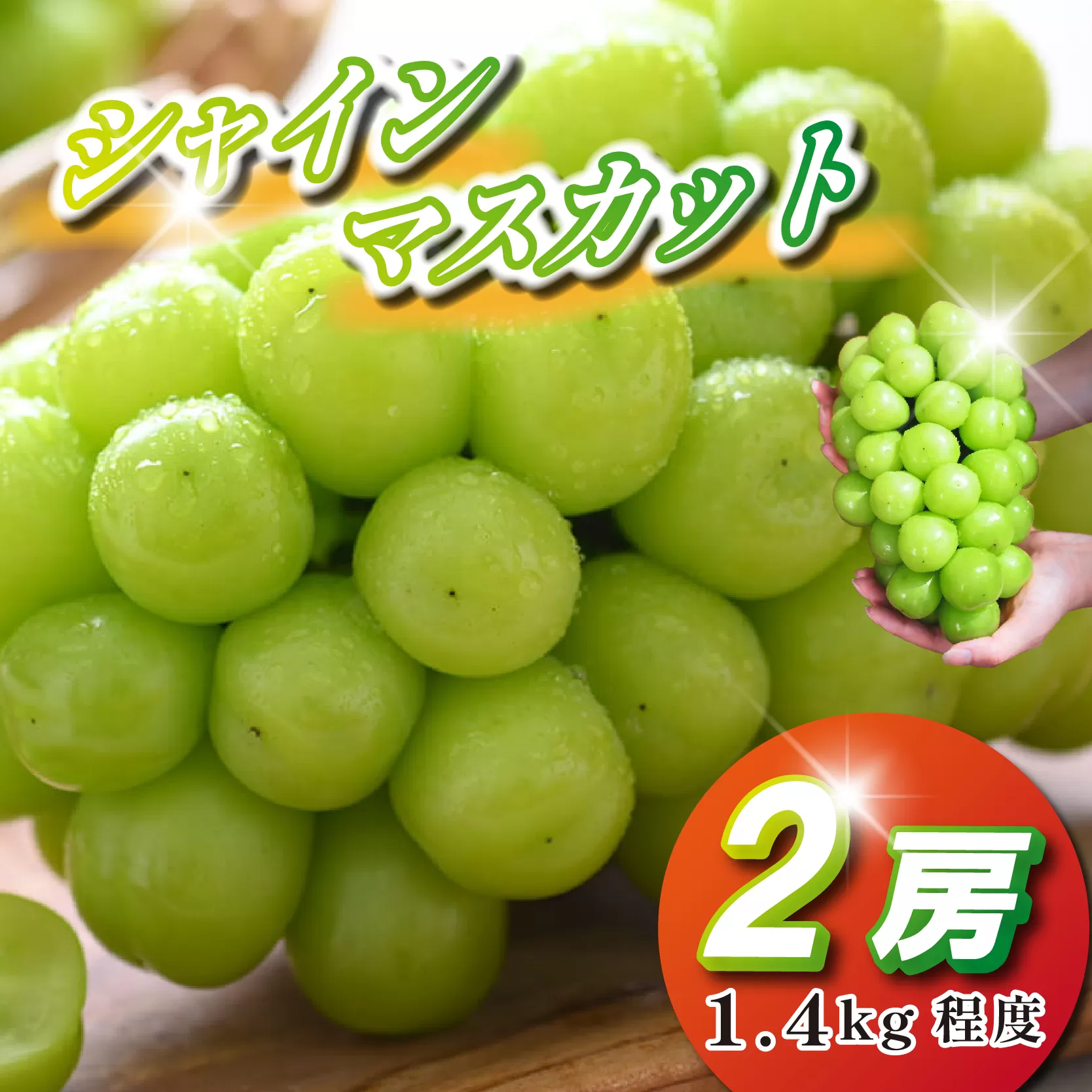 【観光農園直送！】シャインマスカット 2房 1.4kg程度（ぶどう ブドウ マスカット フルーツ 果物）