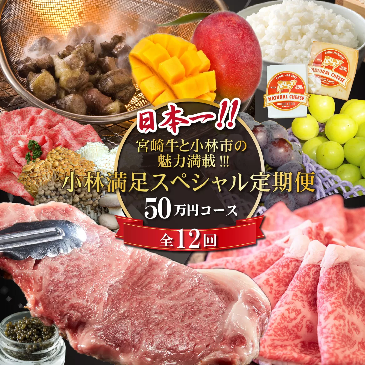 【定期便・全12回】日本一宮崎牛と小林市の魅力満載!!!!小林満足スペシャル定期便 50万円コース（国産 牛肉 国産牛 和牛 黒毛和牛 キャビア シャインマスカット マンゴー 完熟マンゴー フルーツ 果実 くだもの 豚肉 鶏肉 定期便）
