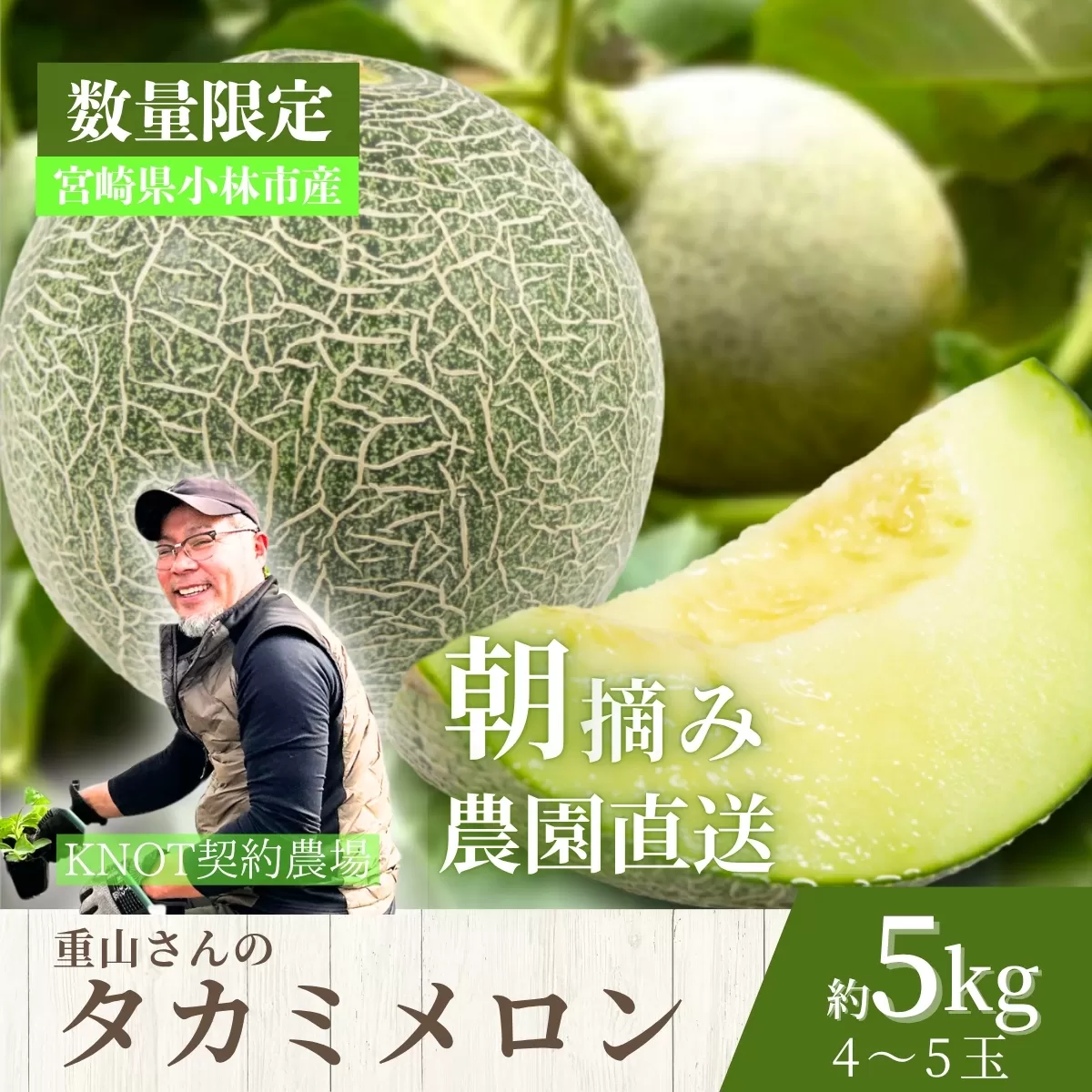生産農家応援・もぎたて直送 タカミメロン 5kg程度(メロン フルーツ 果物 くだもの 先行受付 2026 宮崎)