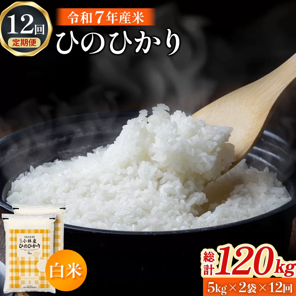 【定期便 全12回】【令和7年産米】ヒノヒカリ 10kg×12回 お米 米 新米 ヒノヒカリ 国産 人気 お弁当 宮崎県 小林市