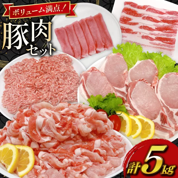 豚肉 宮崎県産豚肉 5kg 詰め合わせ セット [TRINITY 宮崎県 日向市 452061325] 小分け 豚 肉 宮崎 ロース スライス 豚バラ とんかつ 切り落とし ミンチ 豚ミンチ ひき肉 真空パック
