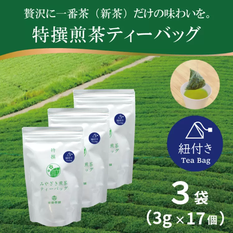 お茶 ティーバッグ 特撰 みやざき煎茶 紐付き 3袋 セット [谷岩茶舗 宮崎県 日向市 452061628] ティーパック 茶 茶葉 緑茶 新茶 お茶の葉