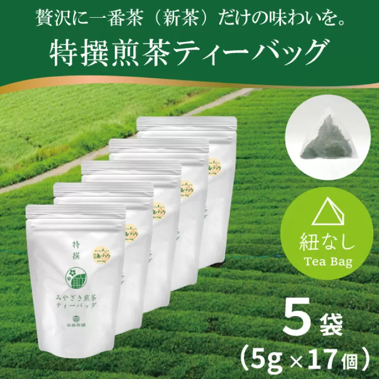 お茶 ティーバッグ 特撰 みやざき煎茶 5袋 セット [谷岩茶舗 宮崎県 日向市 452061643] ティーパック 茶 茶葉 緑茶 新茶 お茶の葉