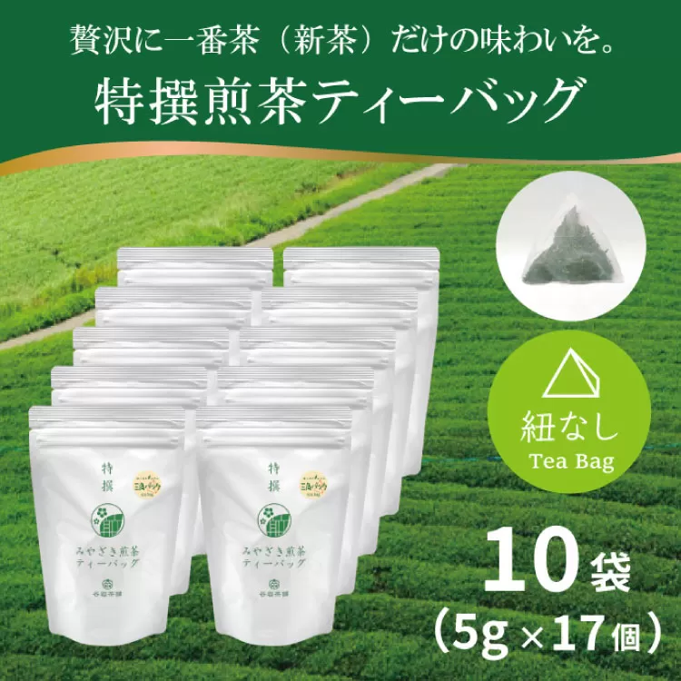 お茶 ティーバッグ 特撰 みやざき煎茶 10袋 セット [谷岩茶舗 宮崎県 日向市 452061644] ティーパック 茶 茶葉 緑茶 新茶 お茶の葉
