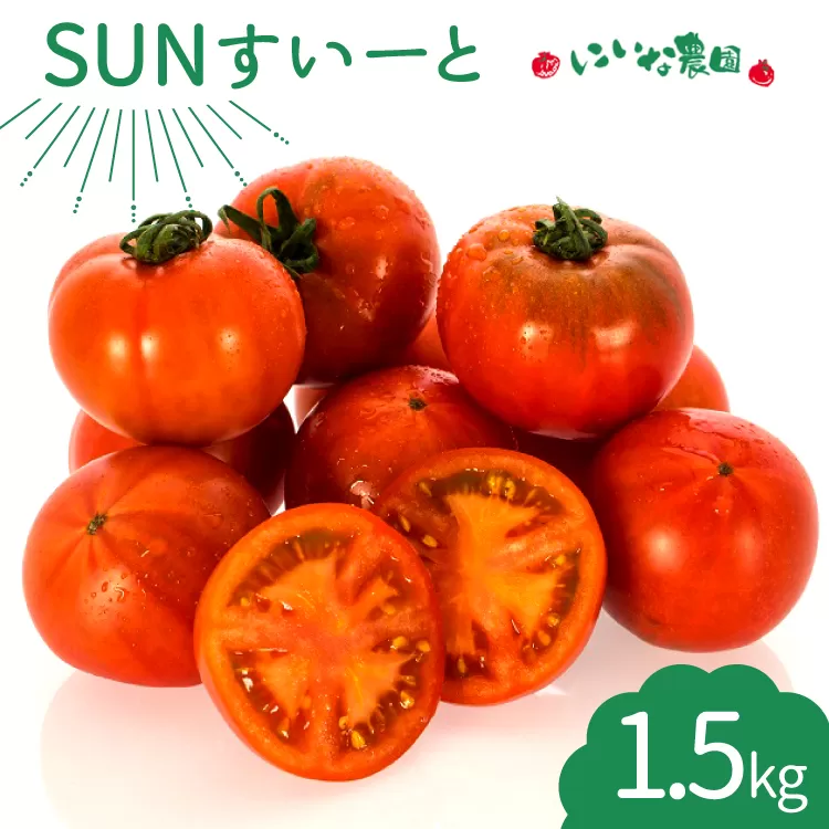 【期間限定発送】 トマト SUNすいーと 1.5kg×1箱 [にいな農園 宮崎県 日向市 452060918] 野菜 フルーツトマト 高糖度 甘い