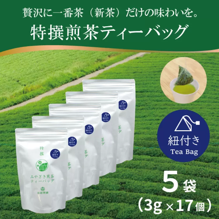 お茶 ティーバッグ 特撰 みやざき煎茶 紐付き 5袋 セット [谷岩茶舗 宮崎県 日向市 452061627] ティーパック 茶 茶葉 緑茶 新茶 お茶の葉