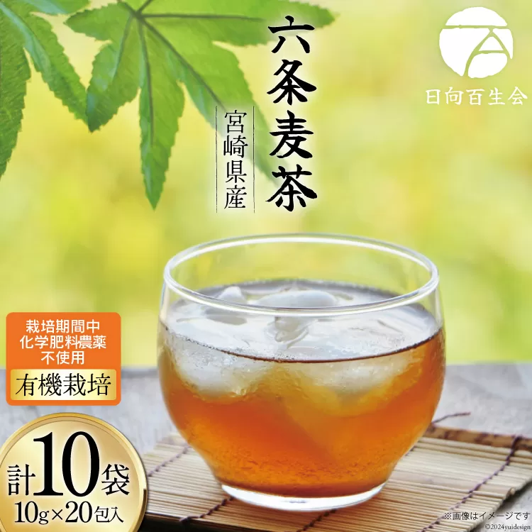 お茶 六条麦茶 ( 10g 20包 ) 10袋 [日向百生会 宮崎県 日向市 452061128] 麦茶 むぎ茶 水出し 煮出し ティーバッグ 国産 ノンカフェイン