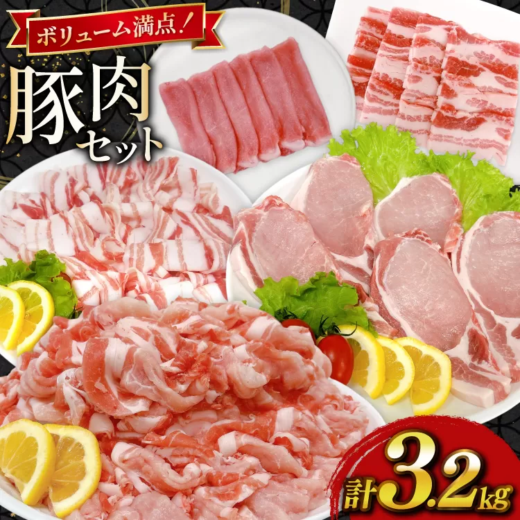 豚肉 宮崎県産豚肉 3.2kg 詰め合わせ セット [TRINITY 宮崎県 日向市 452061328] 小分け 豚 肉 宮崎 ロース スライス 豚バラ とんかつ 切り落とし ミンチ 豚ミンチ ひき肉 真空パック