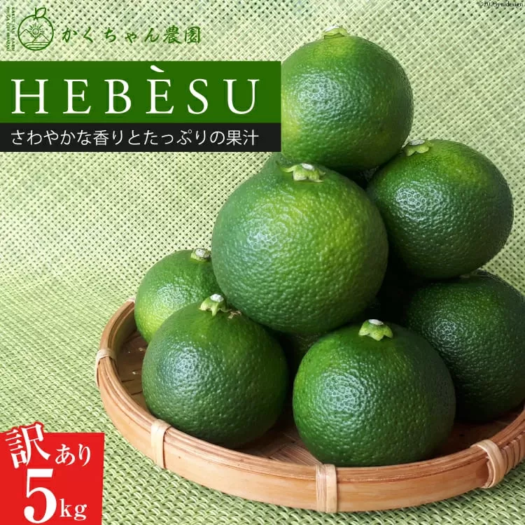 【期間限定発送】 訳あり 採れたてへべす 5kg [かくちゃん農園 宮崎県 日向市 452060673] 果物 柑橘 へべす 平兵衛酢 ヘベス 期間限定 数量限定 規格外 家庭用 果汁 香酸柑橘 調味料 宮崎 ビタミンC アミノ酸 国産 種が少ない