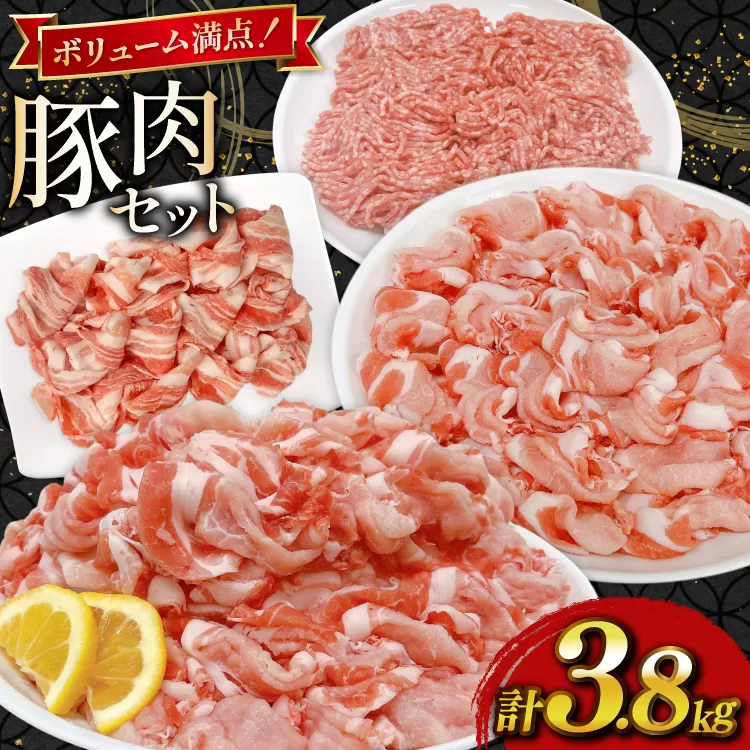 豚肉 宮崎県産豚肉 3.8kg 詰め合わせ セット [TRINITY 宮崎県 日向市 452061327] 小分け 豚 肉 宮崎 ロース スライス 豚バラ とんかつ 切り落とし ミンチ 豚ミンチ ひき肉 真空パック