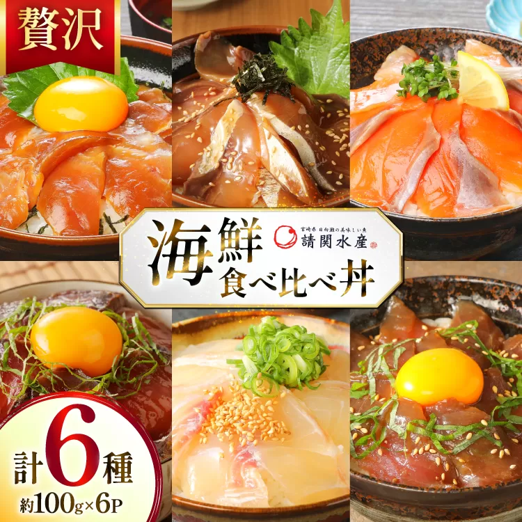 海鮮丼 6種の贅沢食べ比べ丼 1p約100g 6p 真空パック [請関水産 宮崎県 日向市 452061435] 海鮮丼の具 海鮮 海鮮丼セット 食べ比べ 丼 冷凍 ギフト 漬け丼 ぶり マダイ 真鯛 かんぱち カンパチ まぐろ マグロ サーモン かつお カツオ