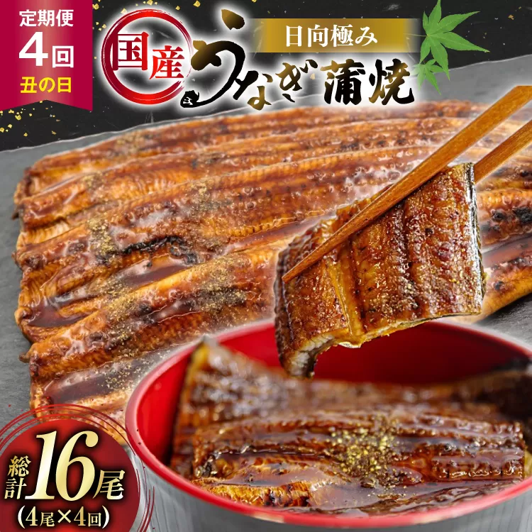 うなぎ 国産 【 丑の日 季節の定期便 】 日向極み うなぎ蒲焼 4尾 計480g [日向サンパーク 宮崎県 日向市 452061506] ギフト 小分け 真空パック 鰻 ウナギ うなぎの蒲焼 蒲焼 蒲焼き