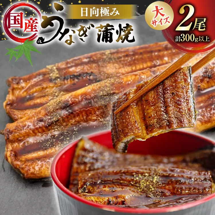 うなぎ 国産 日向極み うなぎ蒲焼 2尾 計300g以上 【たれ・山椒付き】 [日向サンパーク 宮崎県 日向市 452061636] ギフト 小分け 真空パック 鰻 ウナギ うなぎの蒲焼 蒲焼 蒲焼き