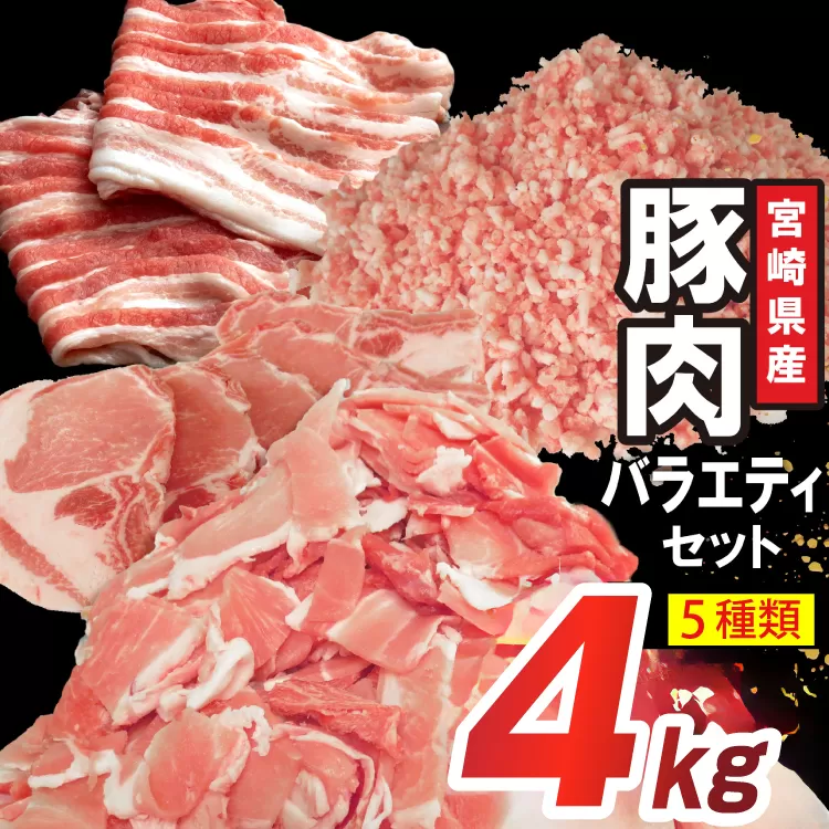 豚肉 詰め合わせ 宮崎県産豚肉 バラエティ セット 5種 4kg [南九フーズ 宮崎県 日向市 452061516] トンカツ とんかつ バラ 切り落とし しゃぶしゃぶ ロース スライス 豚こま 小間切れ ミンチ ひき肉