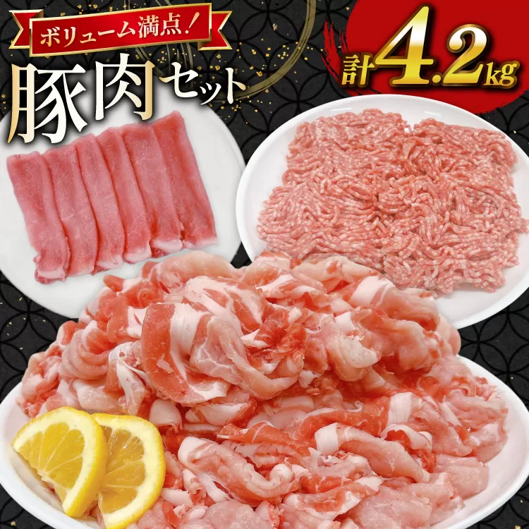 豚肉 宮崎県産豚肉 4.2kg 詰め合わせ セット [TRINITY 宮崎県 日向市 452061326] 小分け 豚 肉 宮崎 ロース スライス 豚バラ とんかつ 切り落とし ミンチ 豚ミンチ ひき肉 真空パック