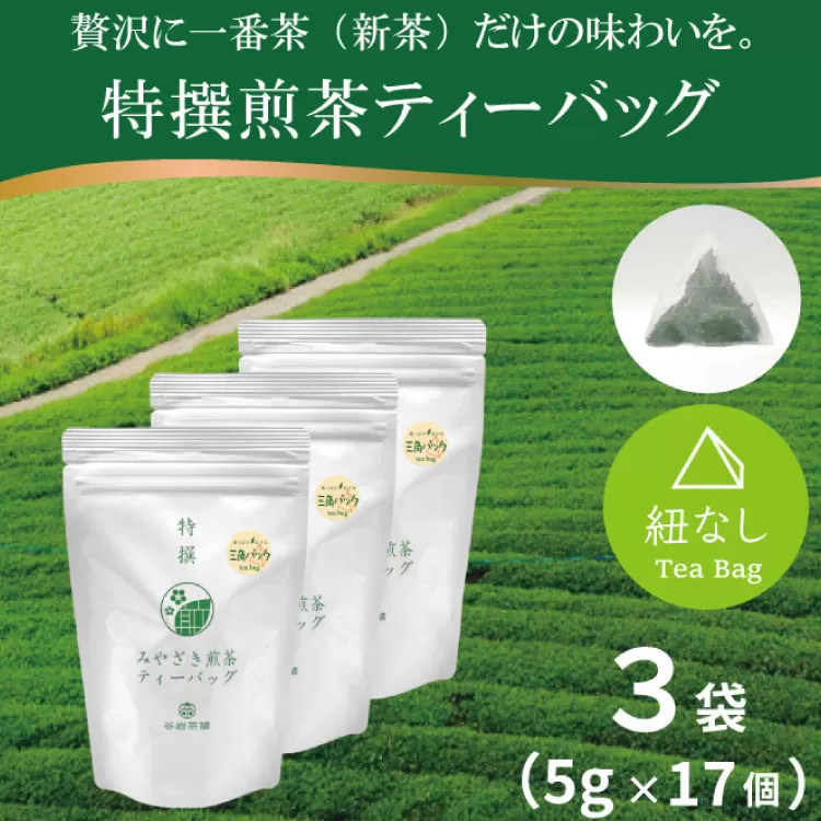 お茶 ティーバッグ 特撰 みやざき煎茶 3袋 セット [谷岩茶舗 宮崎県 日向市 452061642] ティーパック 茶 茶葉 緑茶 新茶 お茶の葉