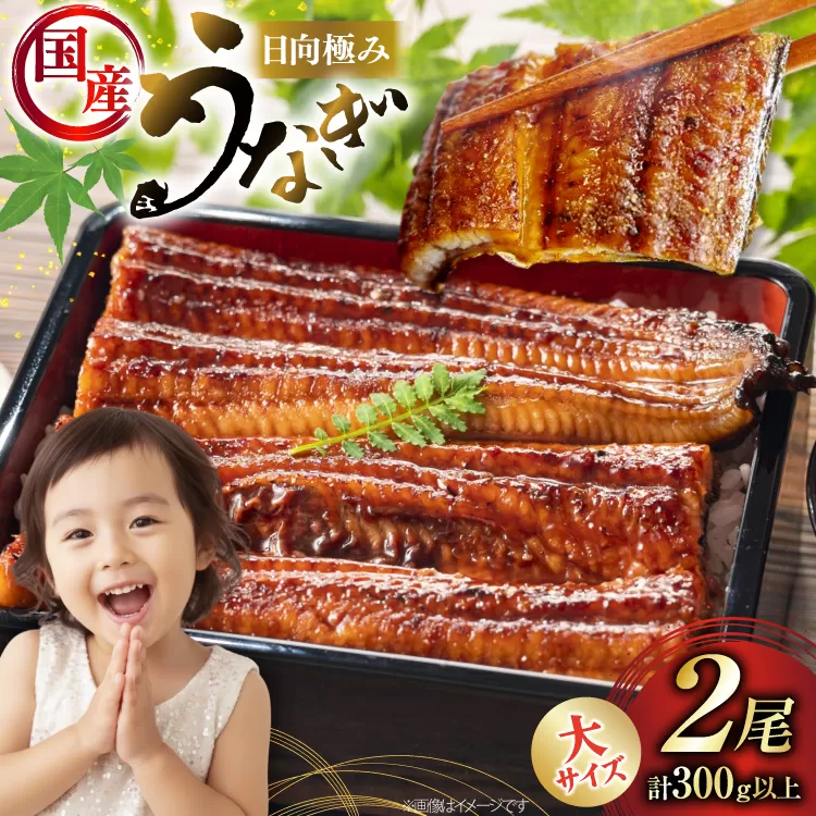 うなぎ 国産 日向極み うなぎ蒲焼 2尾 計300g以上 【たれ・山椒付き】 [日向サンパーク 宮崎県 日向市 452061636] ギフト 小分け 真空パック 鰻 ウナギ うなぎの蒲焼 蒲焼 蒲焼き