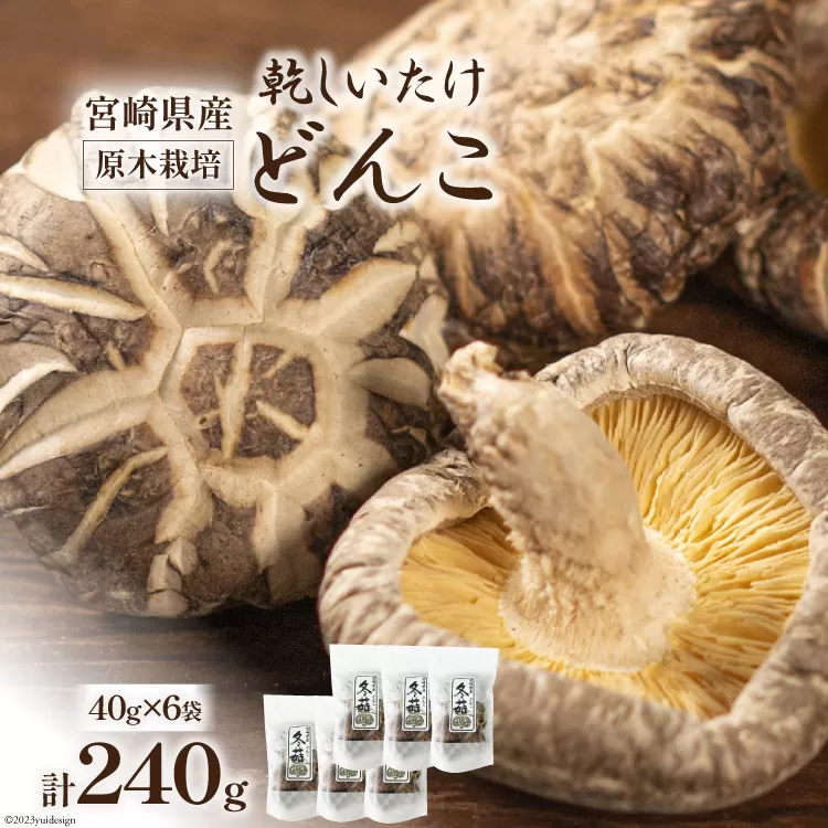 宮崎県産 原木栽培 乾しいたけ どんこ 40g 6袋 計240g [本吉 宮崎県 日向市 452061461] しいたけ 椎茸 乾燥 干し 国産