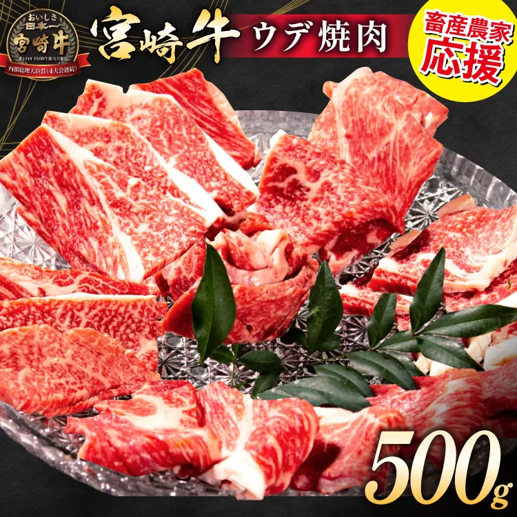 【畜産農家応援】 牛肉 焼肉 宮崎牛 ウデ 焼肉用 500g [ ミヤチク 宮崎県 日向市 452061598] 冷凍 内閣総理大臣賞 焼き肉 牛ウデ ウデ肉 黒毛 和牛 黒毛和牛 国産 国産牛肉 アウトドア BBQ キャンプ