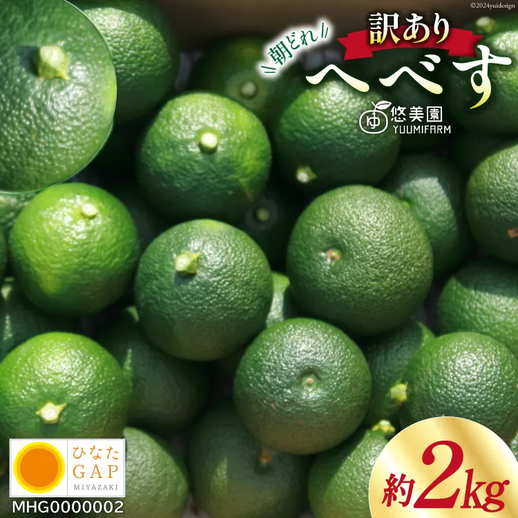 【期間限定発送】 へべす ひなたGAP認定 ふぞろい 2kg [へべすの悠美園 宮崎県 日向市 452060725] ヘベス 宮崎 果物 フルーツ くだもの 柑橘 ポン酢 調味料 果汁