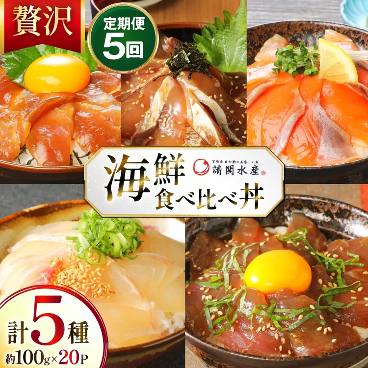 海鮮丼 海鮮漬け丼 5か月 定期便 [請関水産 宮崎県 日向市 452061452] 海鮮丼の具 海鮮 海鮮丼セット 食べ比べ 丼 冷凍 ギフト 漬け丼 ブリ 真鯛 マダイ カンパチ かんぱち まぐろ マグロ サーモン