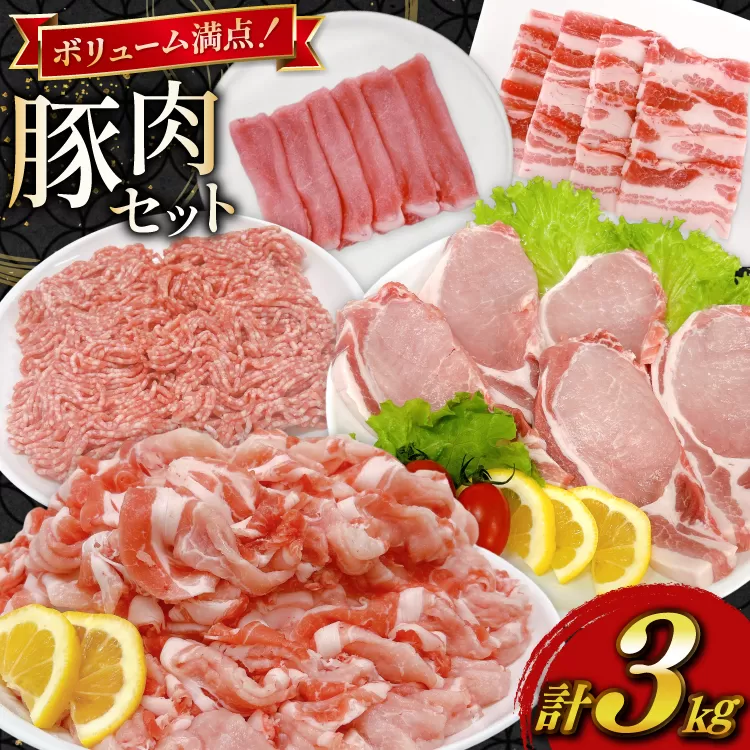 豚肉 宮崎県産豚肉 3kg 詰め合わせ セット [TRINITY 宮崎県 日向市 452061329] 小分け 豚 肉 宮崎 ロース スライス 豚バラ とんかつ 切り落とし ミンチ 豚ミンチ ひき肉 真空パック