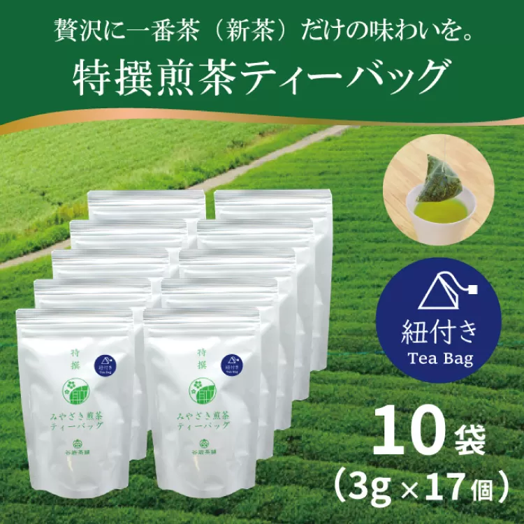 お茶 ティーバッグ 特撰 みやざき煎茶 紐付き 10袋 セット [谷岩茶舗 宮崎県 日向市 452061626] ティーパック 茶 茶葉 緑茶 新茶 お茶の葉