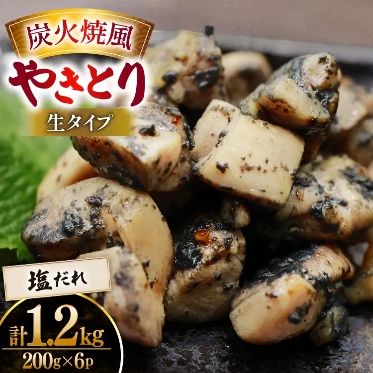 【新登場】 炭火焼鳥 炭火焼風やきとり 生タイプ 塩だれ 200g×6P [日本ハムマーケティング 宮崎県 日向市 452061572] 鶏もも 鶏 宮崎 おつまみ 酒のアテ 炭火焼 炭火焼き やきとり