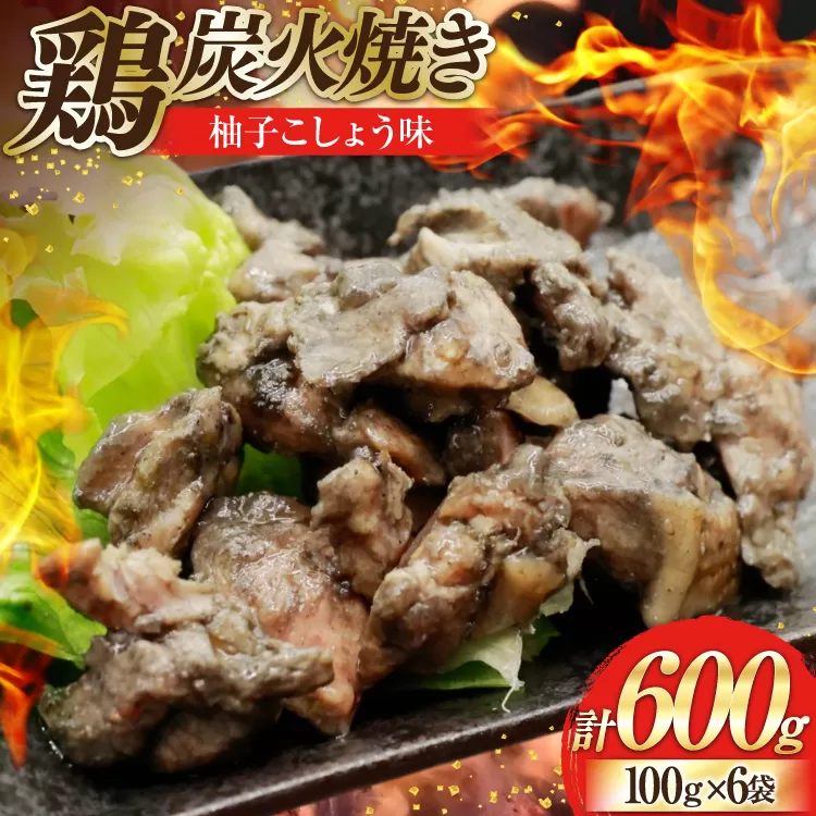 鶏 炭火焼き 柚子こしょう味 100g 6袋 計600g [カンショク 宮崎県 日向市 452061465] 炭火焼 鶏肉 親鳥 柚子こしょう ゆずこしょう 柚子胡椒